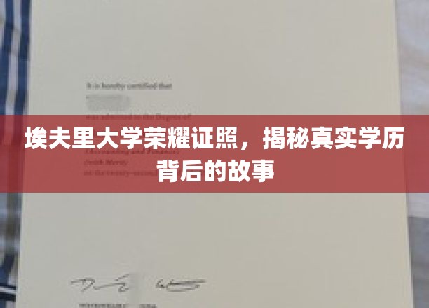 埃夫里大学荣耀证照，探寻真实学历背后的故事