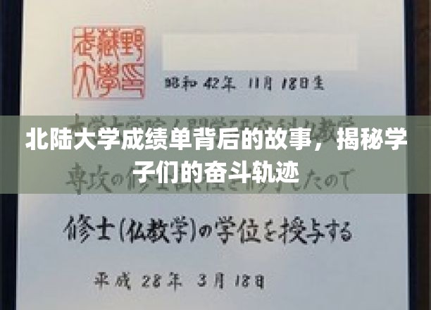 北陆学子奋斗足迹，揭开成绩单背后的励志篇章