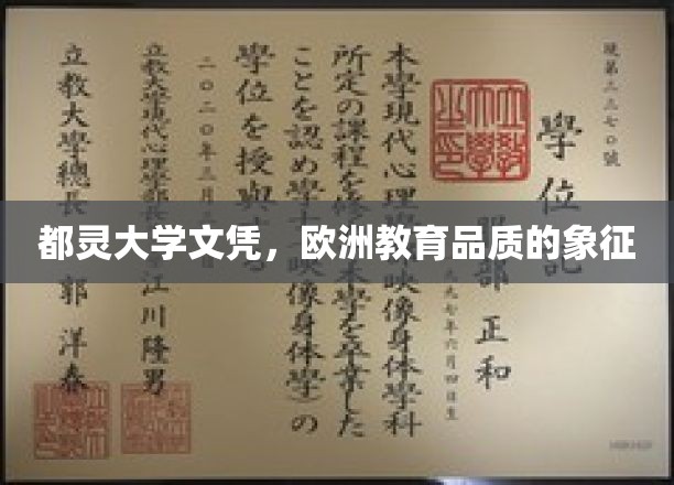 都灵大学文凭，欧洲教育品质的象征