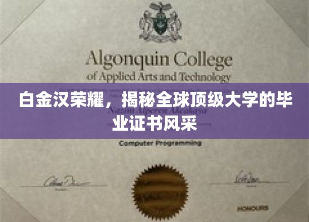 白金汉荣耀，揭秘全球顶级大学的毕业证书风采