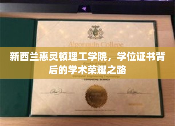 新西兰惠灵顿理工学院，学位证书背后的学术荣耀之路