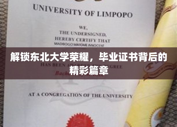 解锁东北大学荣耀，毕业证书背后的精彩篇章