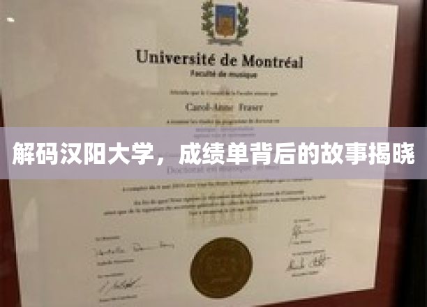 解码汉阳大学，成绩单背后的故事揭晓