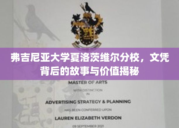 弗吉尼亚大学夏洛茨维尔分校，文凭背后的故事与价值揭秘