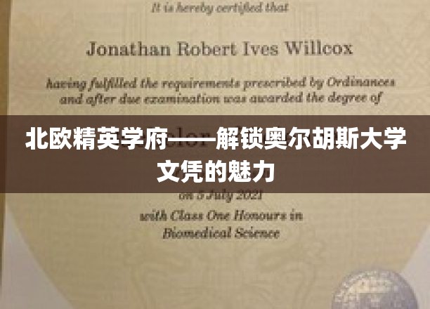 解锁北欧顶级学府，奥尔胡斯大学文凭的非凡价值
