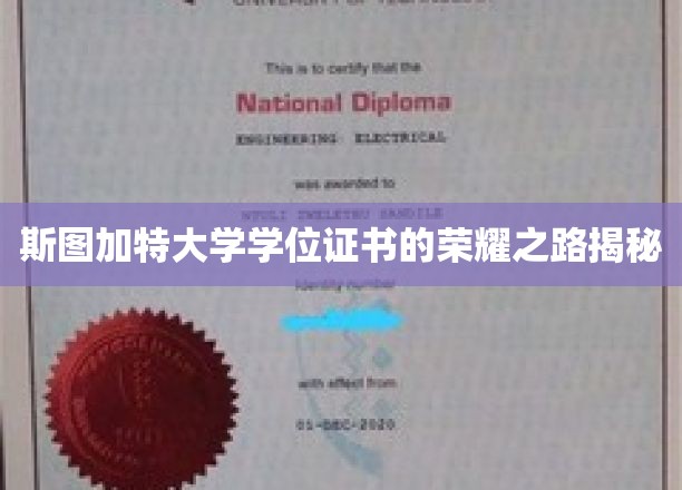 斯图加特大学学位证书背后的辉煌历程探秘
