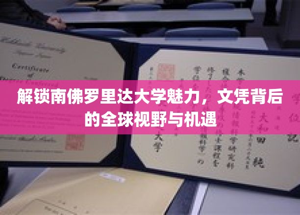 探寻南佛罗里达大学风采，学历之光映照全球机遇之路