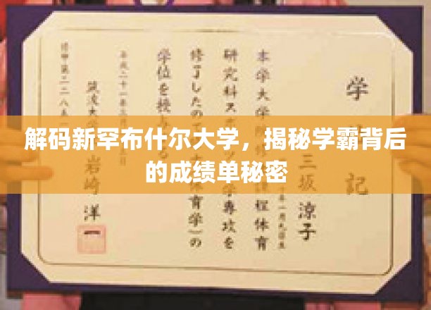 探秘新罕布什尔学霸，成绩单背后的不凡奥秘