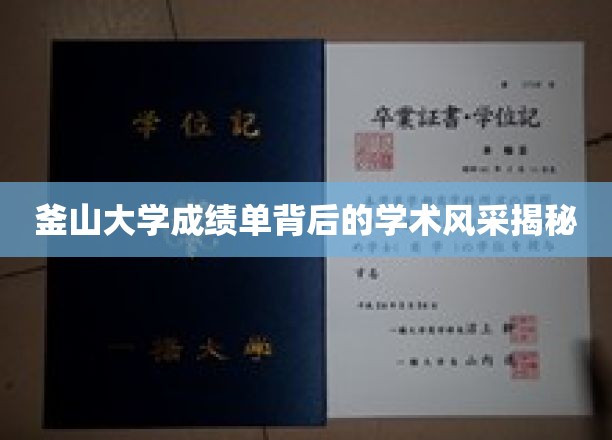 釜山大学成绩单：揭秘其背后的学术魅力