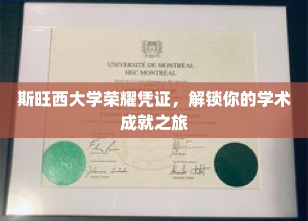解锁斯旺西荣耀，你的学术成就通行证大揭秘