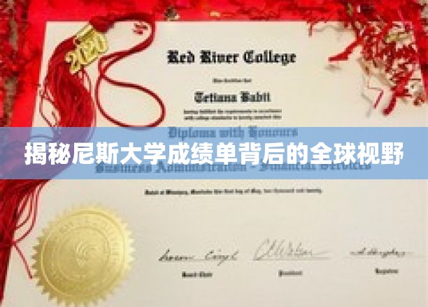 跨国教育的魅力，尼斯大学成绩单中的世界眼光解码