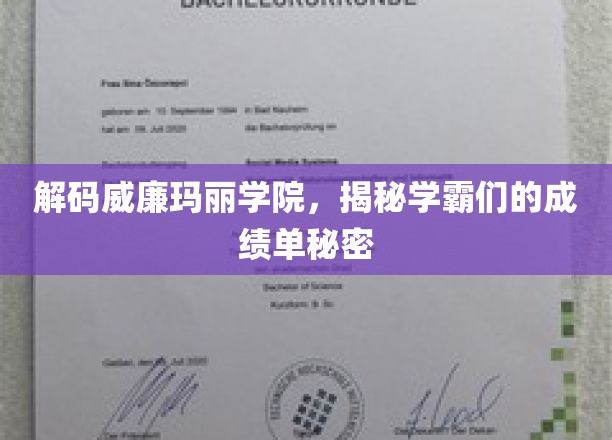 威廉玛丽学院学霸养成记，成绩单背后的秘密曝光