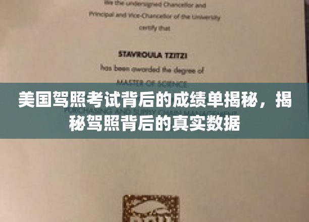 揭秘美国驾照考试，背后的成绩单与真实数据大曝光
