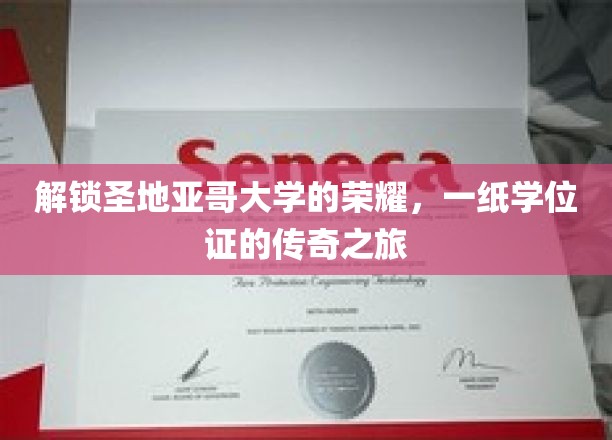 圣地亚哥大学荣耀见证，学位证背后的传奇征途