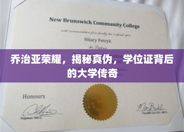 乔治亚荣耀，揭秘真伪，学位证背后的大学传奇