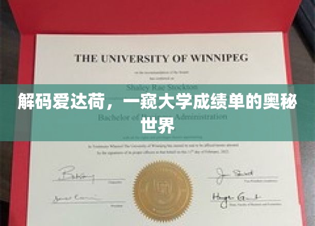 解码爱达荷，一窥大学成绩单的奥秘世界