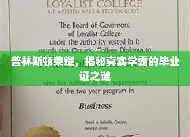 探寻普林斯顿精英，毕业证书背后的学霸传奇