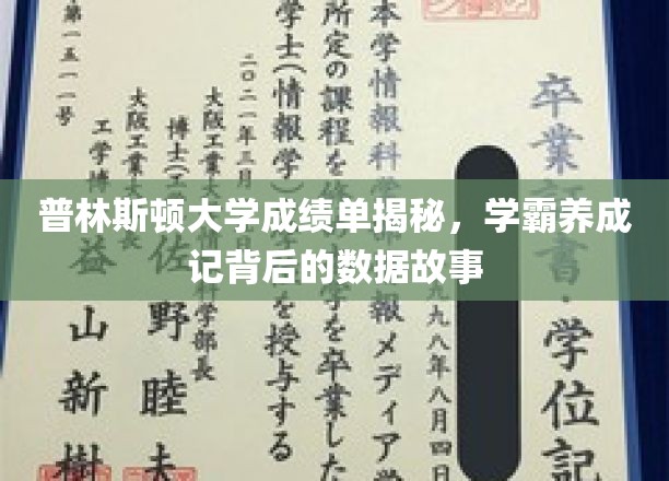 普林斯顿大学成绩单揭秘，学霸养成记背后的数据故事