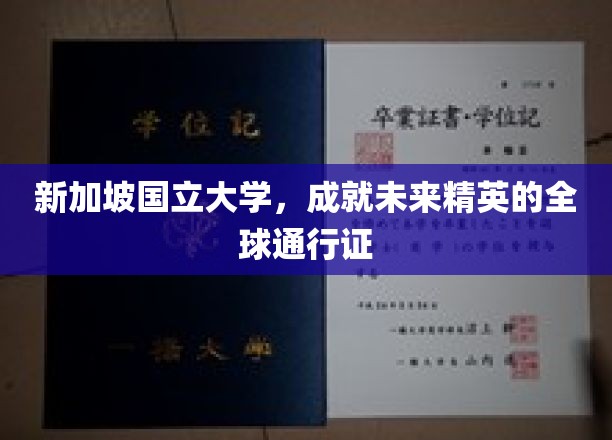 解码未来，新加坡国立大学，国际精英培育摇篮