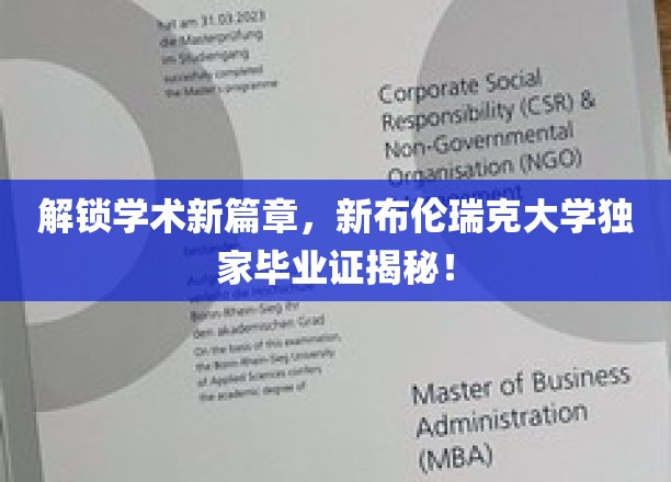 解锁学术新篇章，新布伦瑞克大学独家毕业证揭秘！