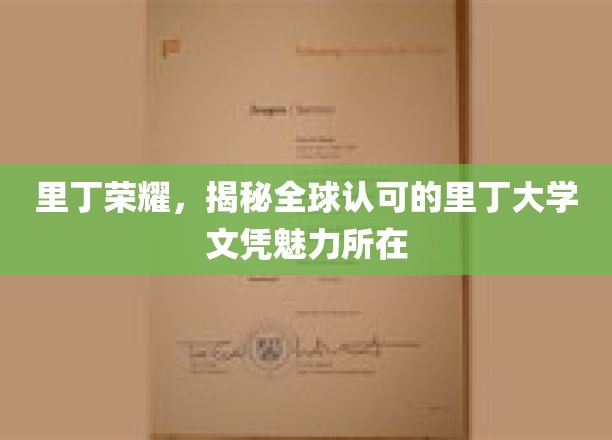 探寻里丁荣耀，揭秘全球认可的里丁大学文凭的独特魅力