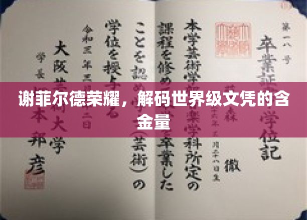 谢菲尔德荣耀揭秘，世界级文凭背后的非凡价值