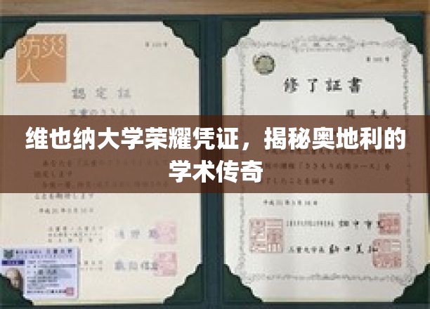 探寻维也纳大学传奇，奥地利学术辉煌的见证之地