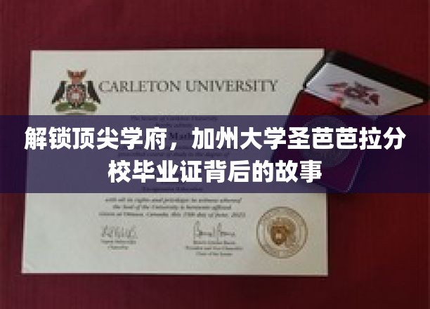 解锁顶尖学府，加州大学圣芭芭拉分校毕业证背后的故事
