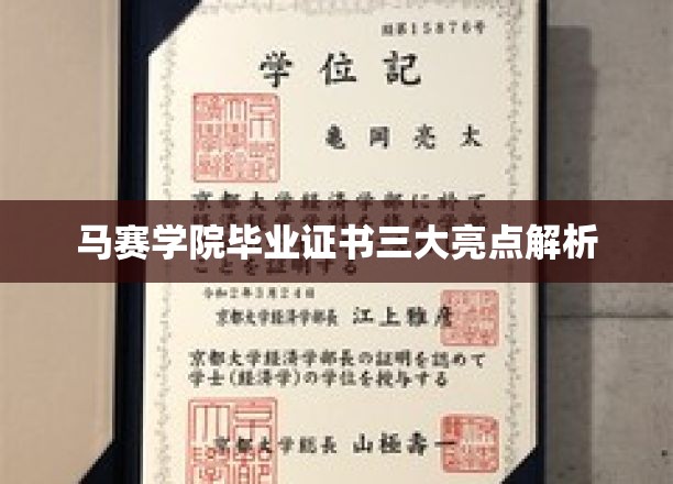 马赛学院证书独领风骚，揭秘三大亮点与非凡价值