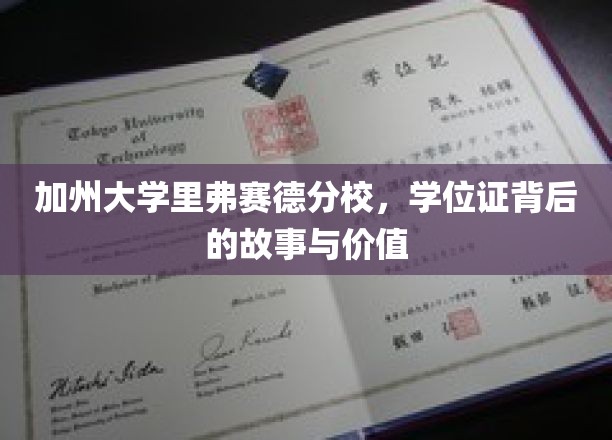 加州大学里弗赛德分校，学位证背后的故事与价值