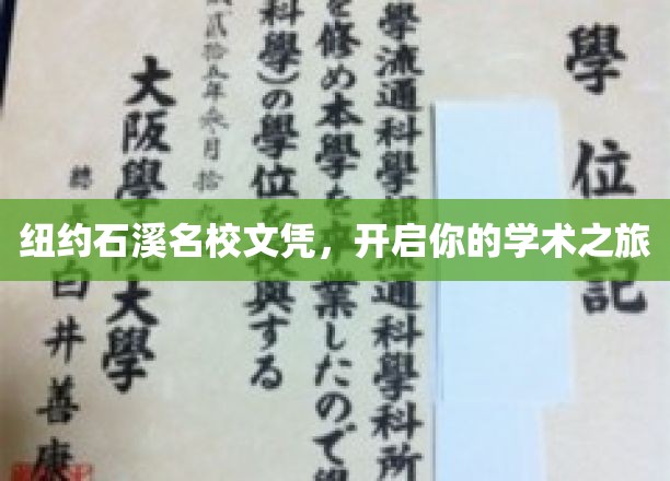 纽约石溪名校文凭，开启你的学术之旅