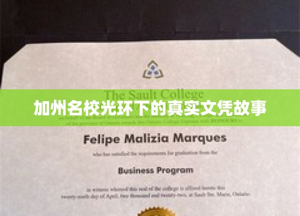 金校梦魇，加州名校背后的文凭真相大揭秘