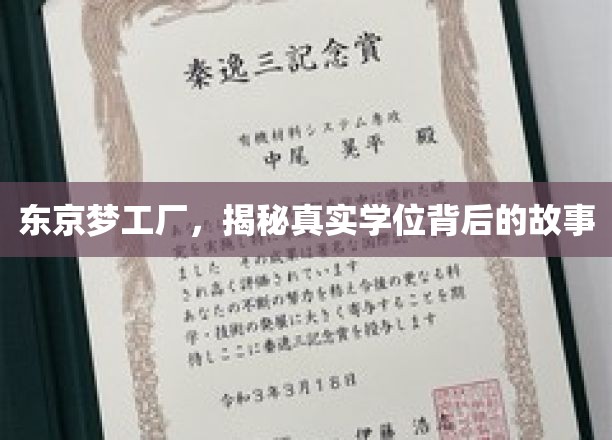 探寻东京梦工厂，学位背后的不为人知之谜