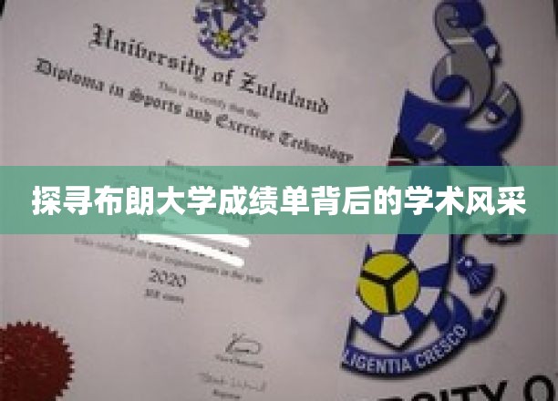 布朗大学成绩单揭秘，一窥学术精英的璀璨风采