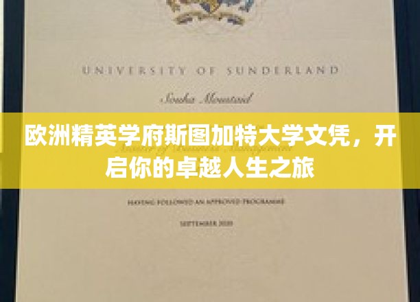 斯图加特大学精英学历，助你踏上非凡人生新篇章