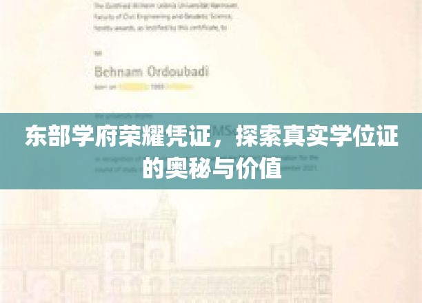 学位荣耀之谜，东部名校证书背后的价值探寻