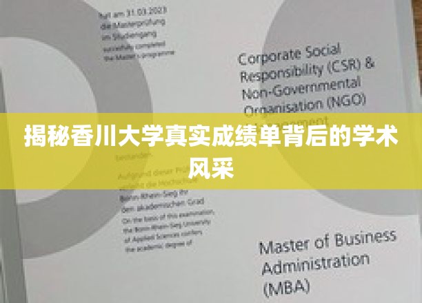 香川大学成绩单揭秘，探寻学术实力与风采的真相