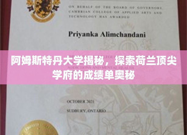 解码阿姆斯特丹大学，荷兰精英教育的卓越成就揭秘