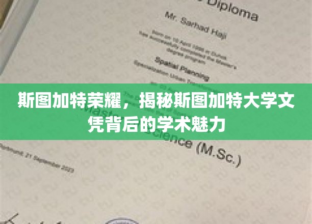 解码斯图加特大学，探寻文凭背后的学术璀璨之光