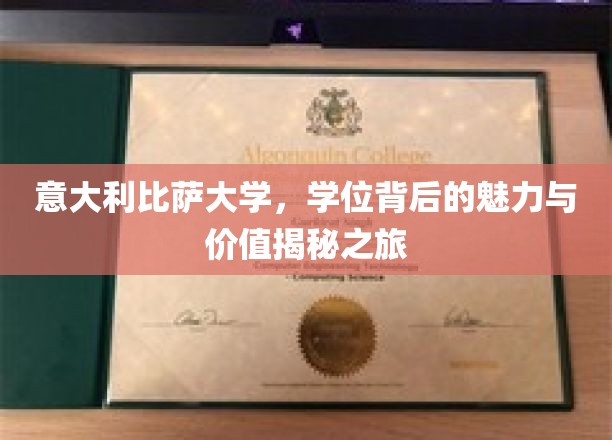 探寻意大利比萨大学学位的非凡魅力与深层价值之旅