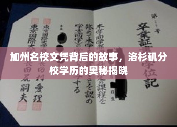 加州精英梦工厂，揭秘洛杉矶分校学历背后的传奇故事