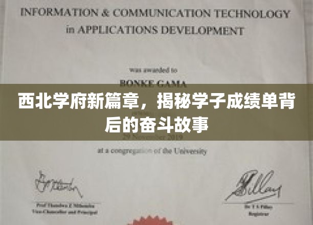 西北学府新篇章，揭秘学子成绩单背后的奋斗故事