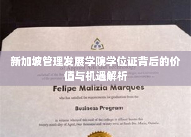 解码新加坡管理发展学院学位证，职场金钥匙的秘密与未来前景展望