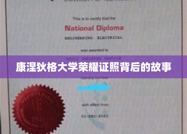 康涅狄格大学荣耀证照背后的故事