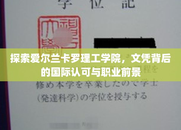 解码爱尔兰卡罗理工学院，国际通行证背后的无限可能