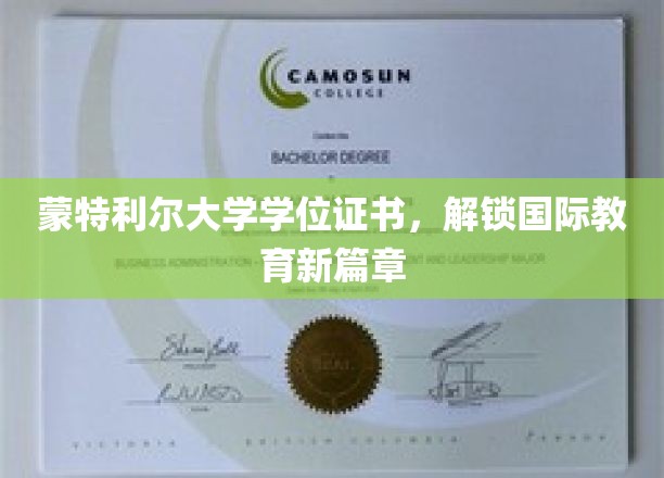 蒙特利尔大学学位，开启全球教育新纪元