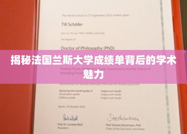 探索兰斯大学成绩单中的法国教育精髓