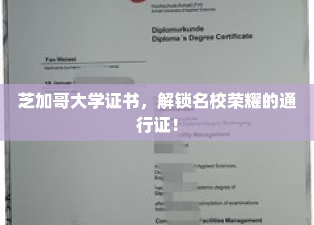 芝加哥大学证书，荣耀名校的敲门砖，成就非凡未来