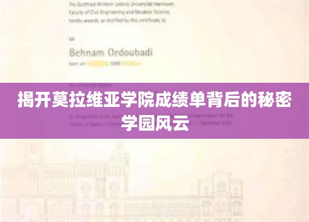 解码莫拉维亚学院神秘成绩单，揭秘学园不为人知的真相