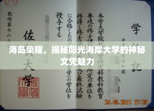 阳光海岸大学文凭，揭秘海岛精英教育的独特魅力
